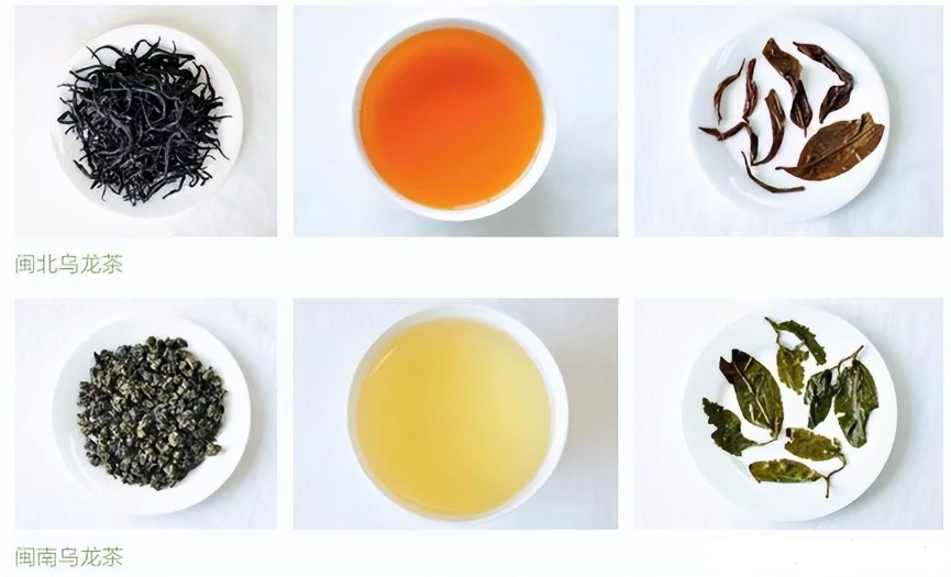 福建乌龙茶如何分类？特点是什么？有哪些代表性产品