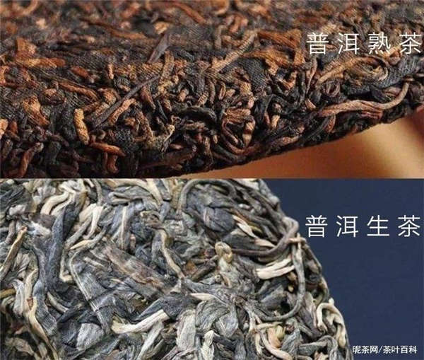 白茶是生茶还是熟茶啊