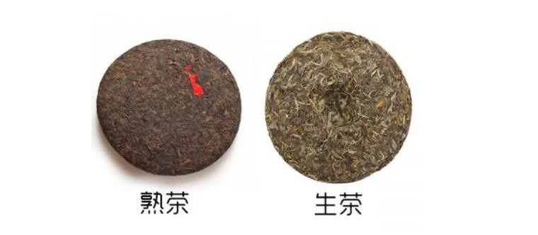 六堡茶与普洱茶的区别