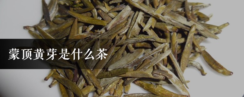 蒙顶黄芽是什么茶