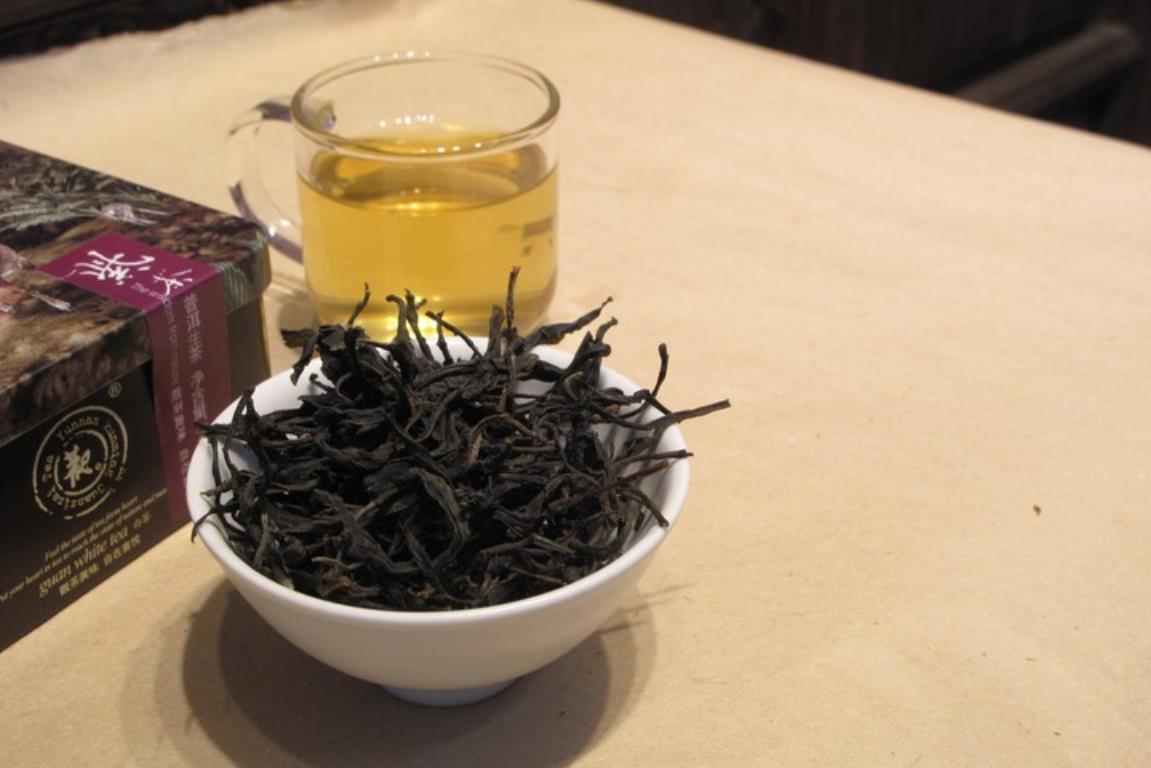 紫芽茶为何不能加工成绿茶