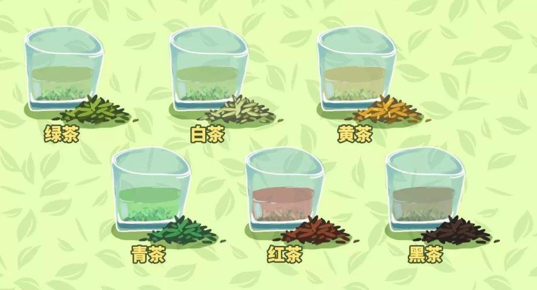 茶叶的分类有哪几种