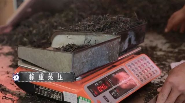 详解普洱生茶的制作工艺