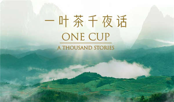 一片树叶里的大故事，BBC镜头下的中国茶