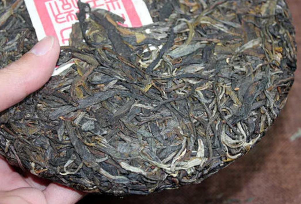 古树茶跟单株有什么区分