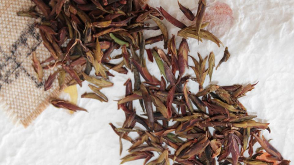 紫芽苞是属于什么茶