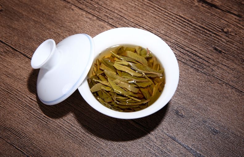 普洱茶为何有樟香气味，真相源于樟树林