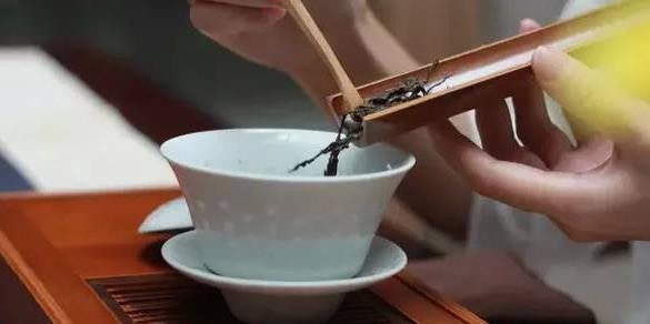 投茶量的标准定义