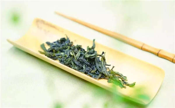 文山青茶属于什么茶
