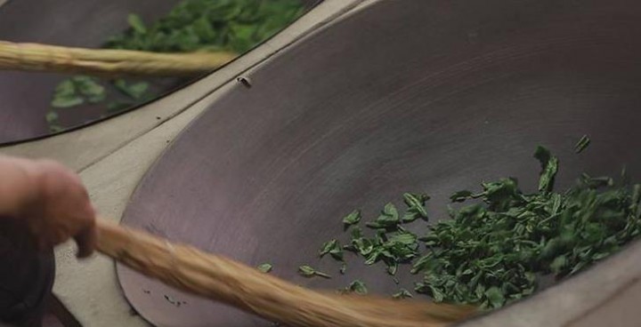 六安瓜片的加工过程，制茶工艺
