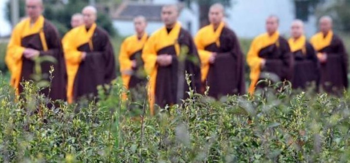 ​茶道与佛教有什么关系和渊源？