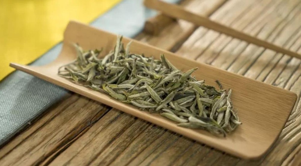 福鼎白茶属于什么茶  福鼎白茶的特点及品种介绍