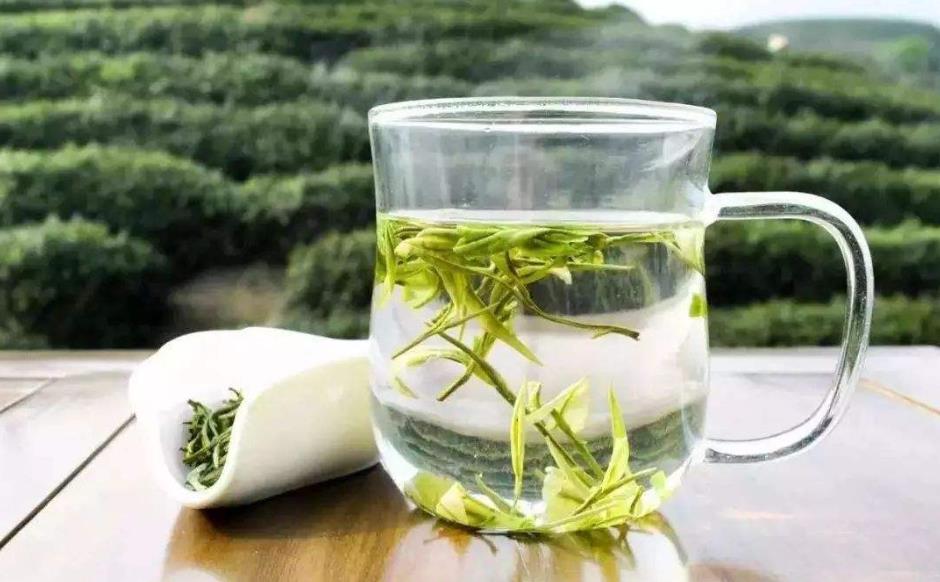 绿茶用多少度的水泡好
