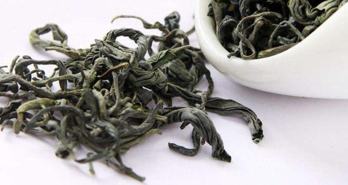 屯溪绿茶属于什么茶