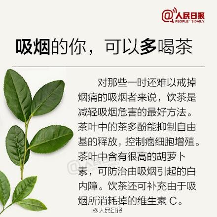 新手喝茶必备，茶知识大全