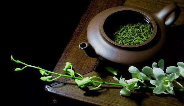 绿茶可以养紫砂壶吗