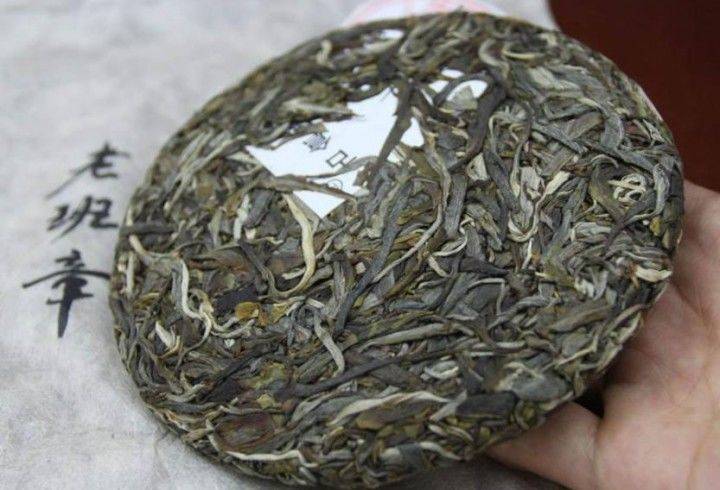 普洱茶属于什么茶