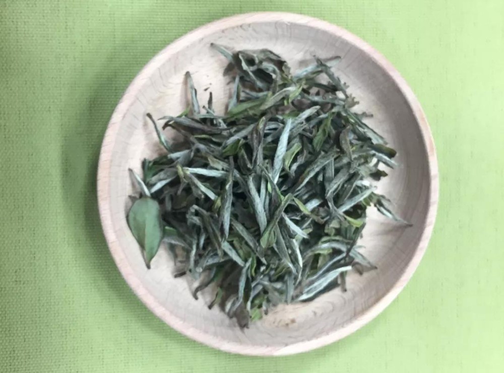 福鼎白茶属于什么茶  福鼎白茶的特点及品种介绍