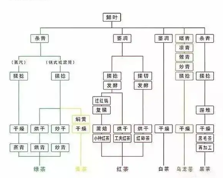 茶知识大全，一文读懂中国茶的分类